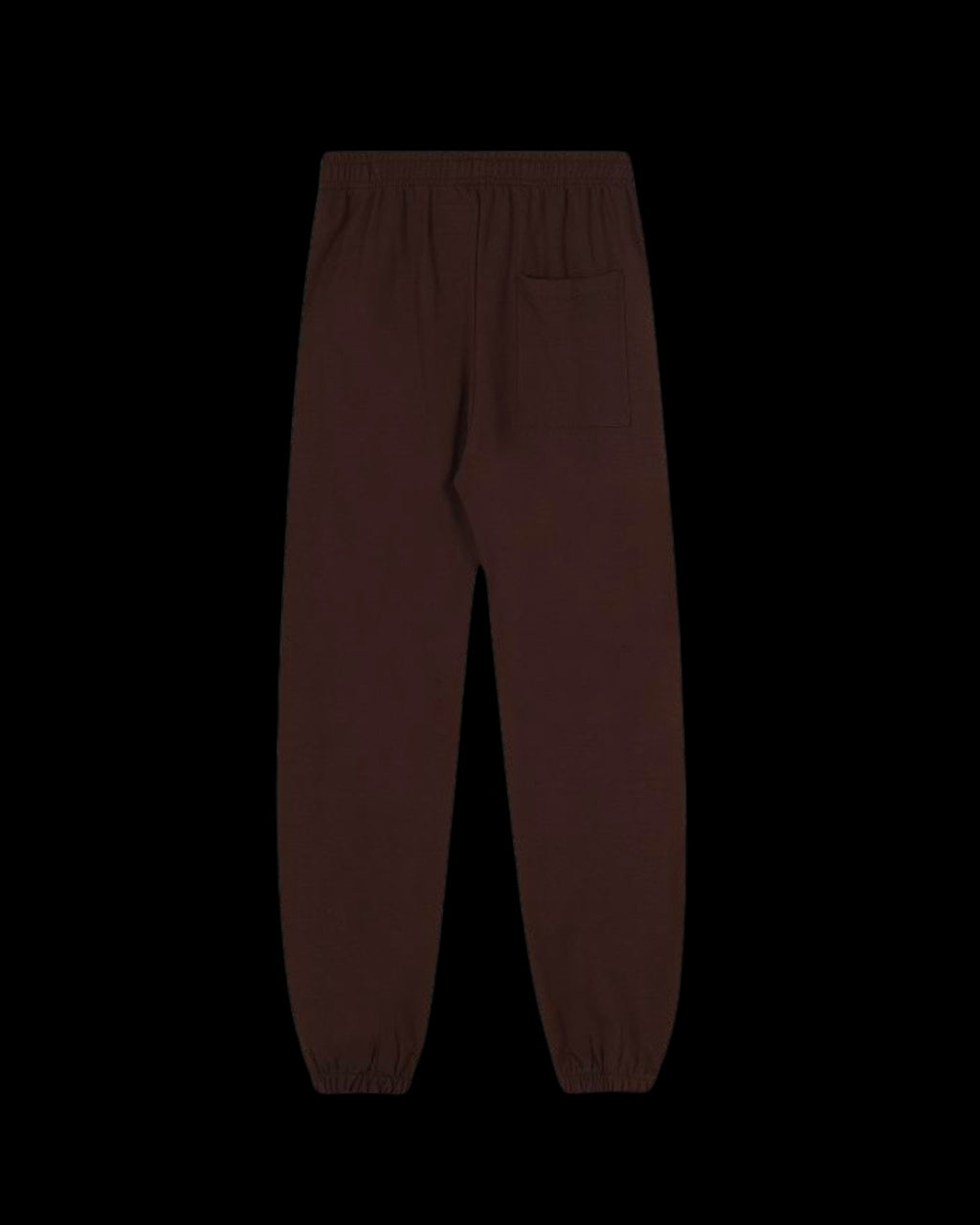 Spıder Brown Pants