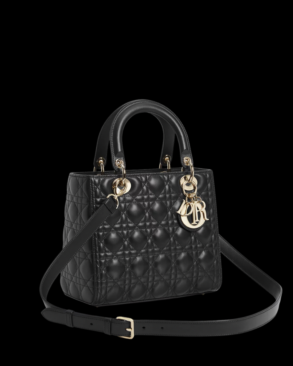 CD Lady Bag