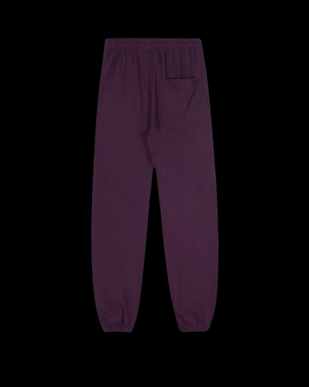 Spıder Dark Purple Pants