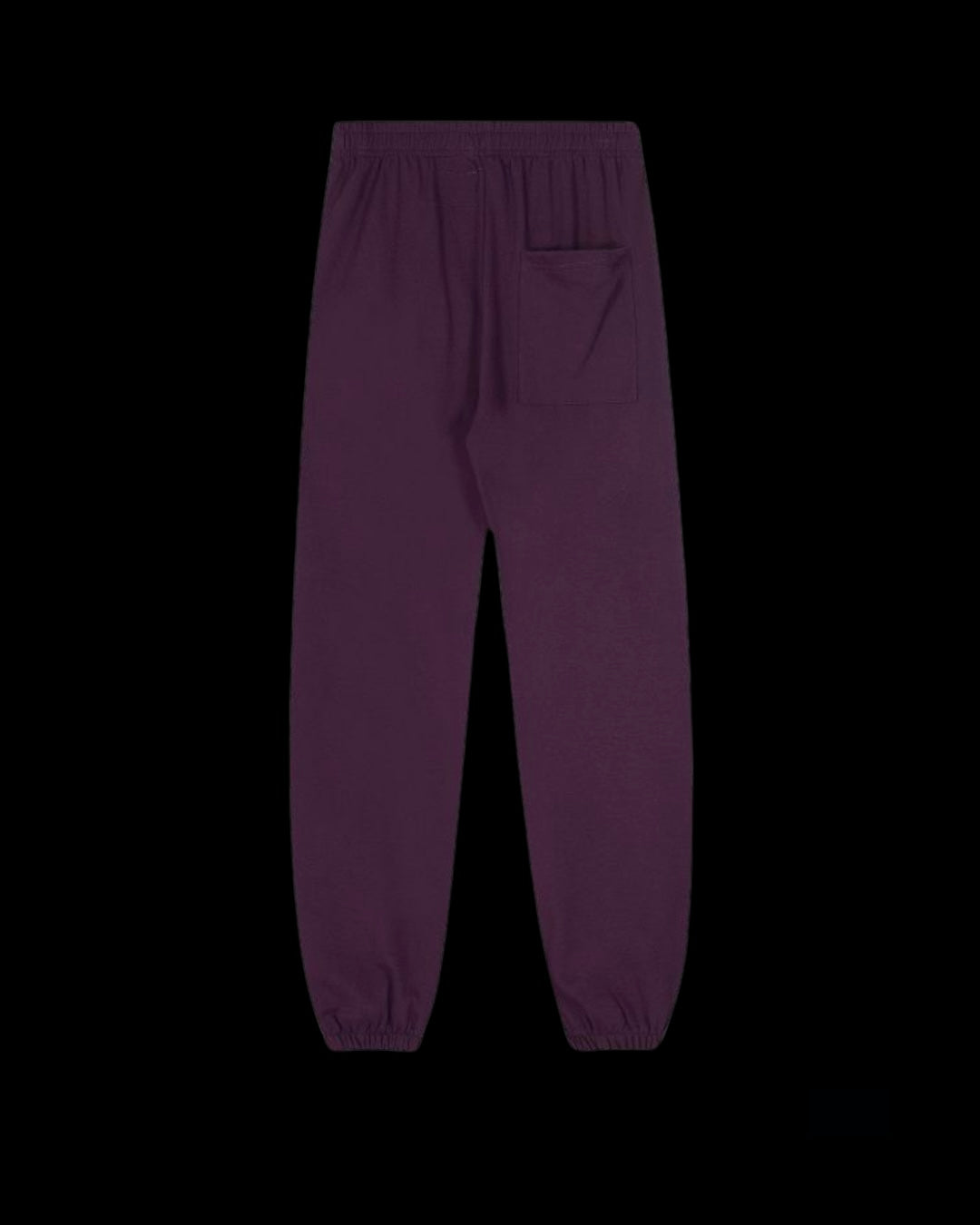 Spıder Dark Purple Pants