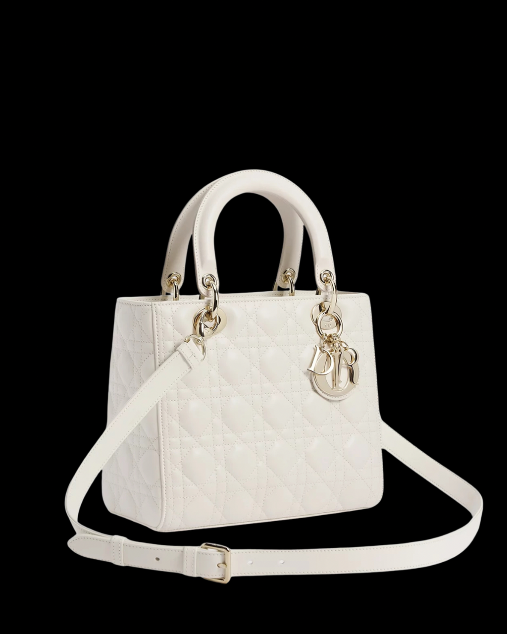 CD Lady Bag