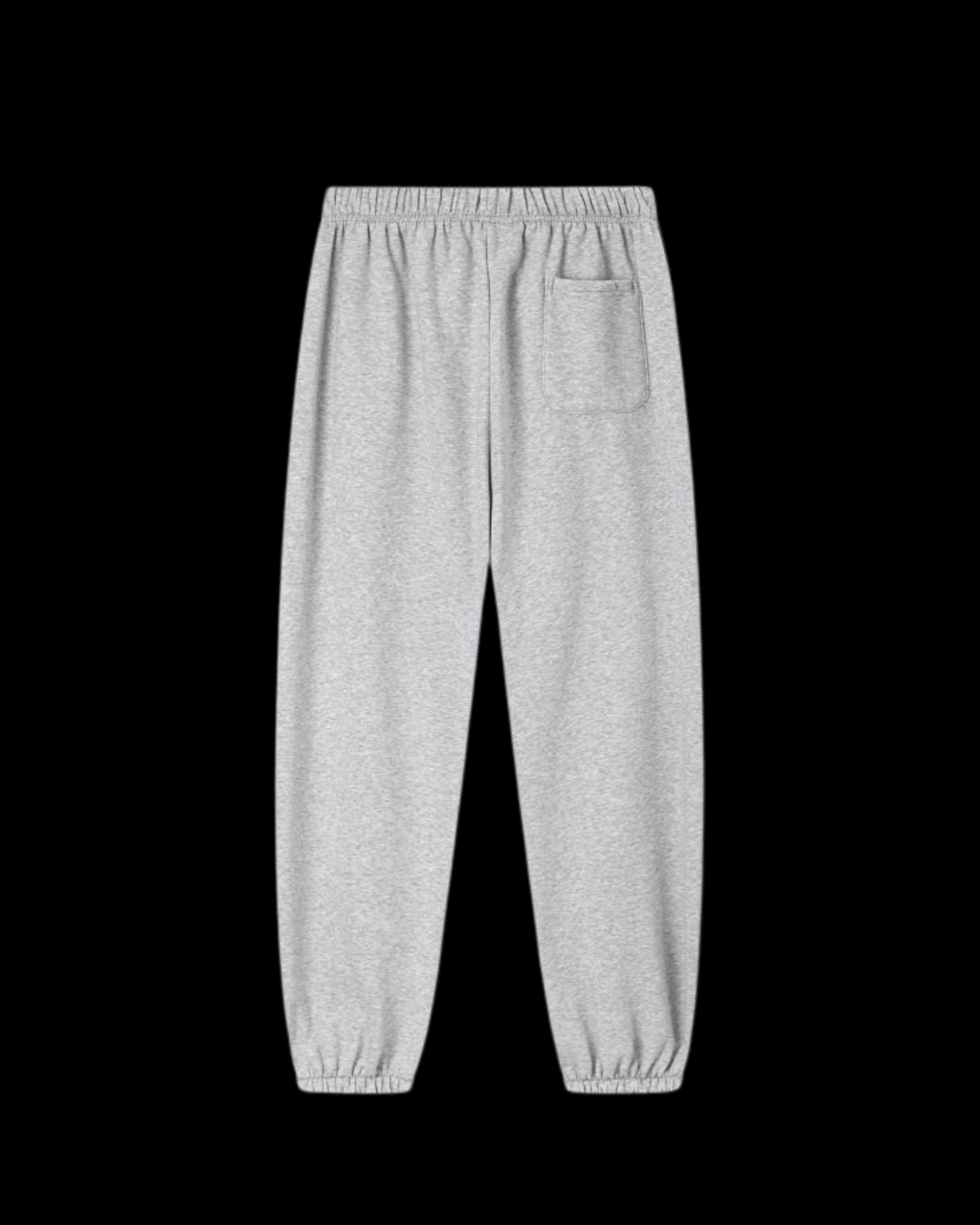 Spıder Grey Pants