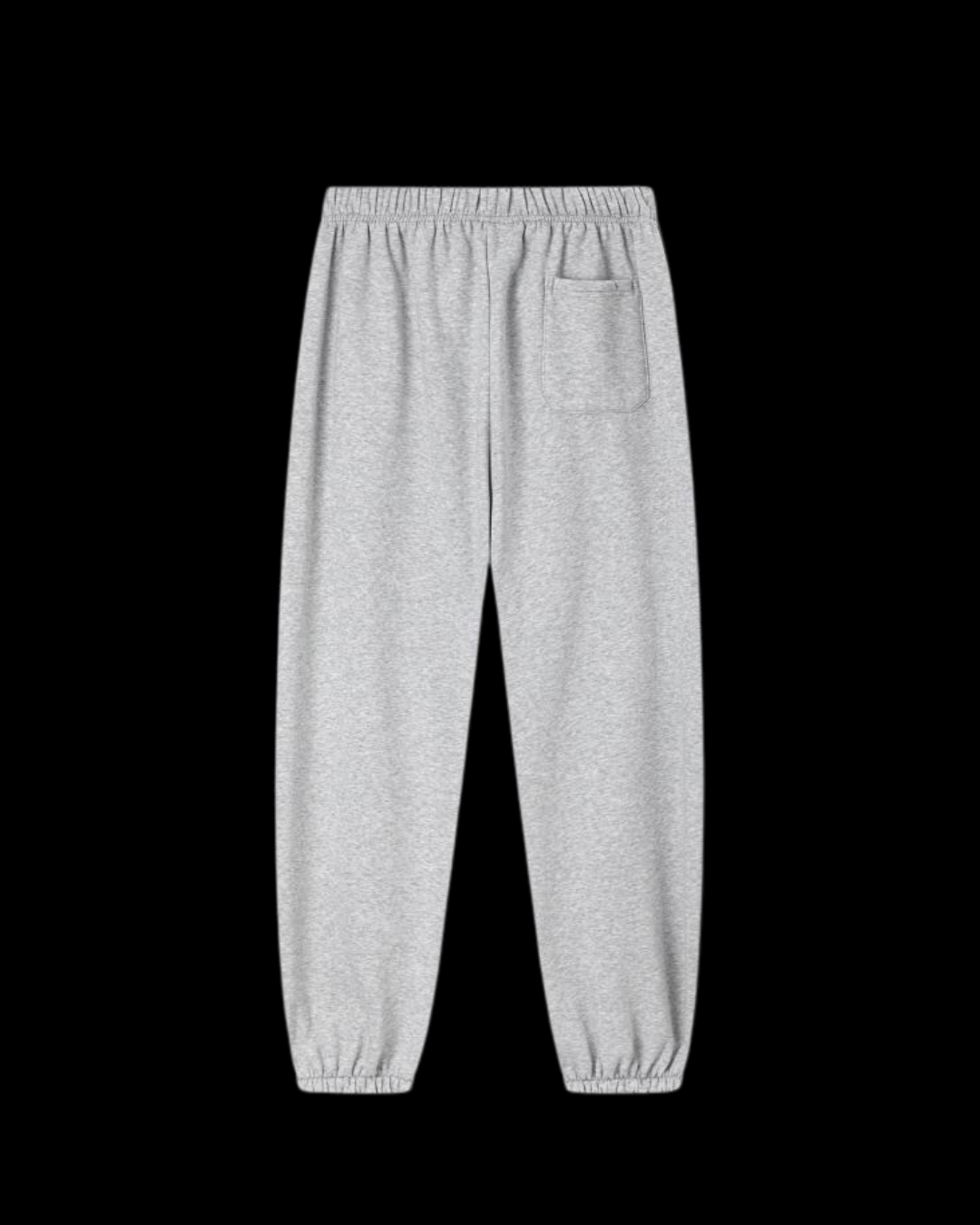 Spıder Grey Pants