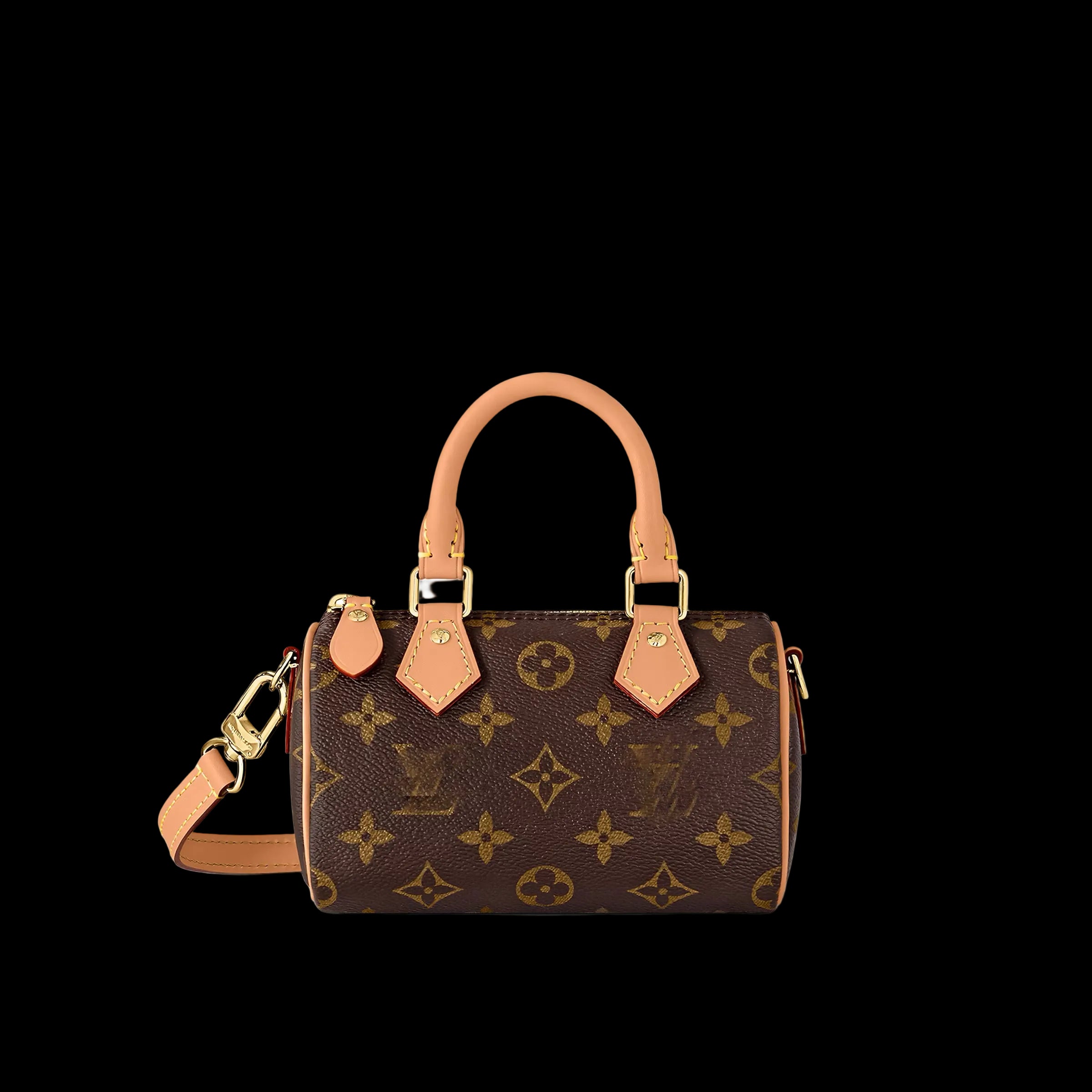 LV Nano Mini Bag