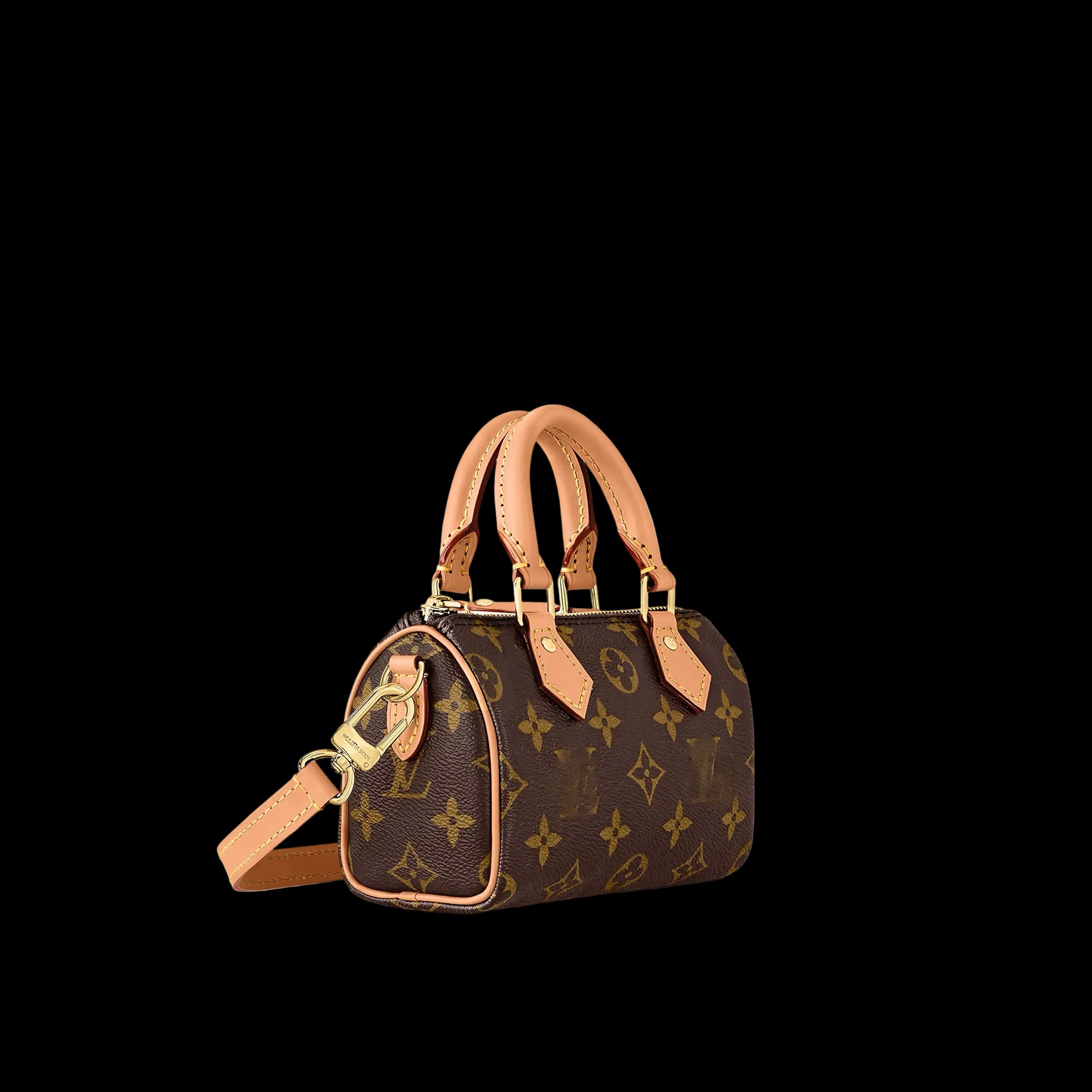 LV Nano Mini Bag